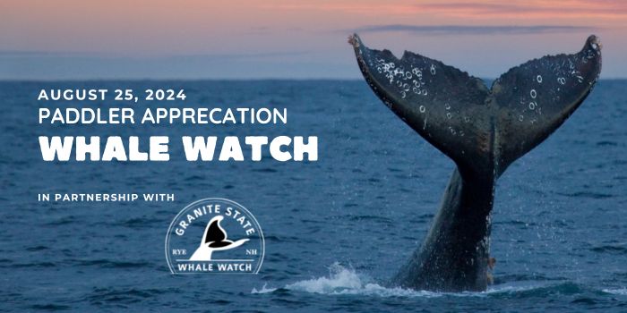 NH Whale Watch