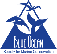 Blue Ocean Society