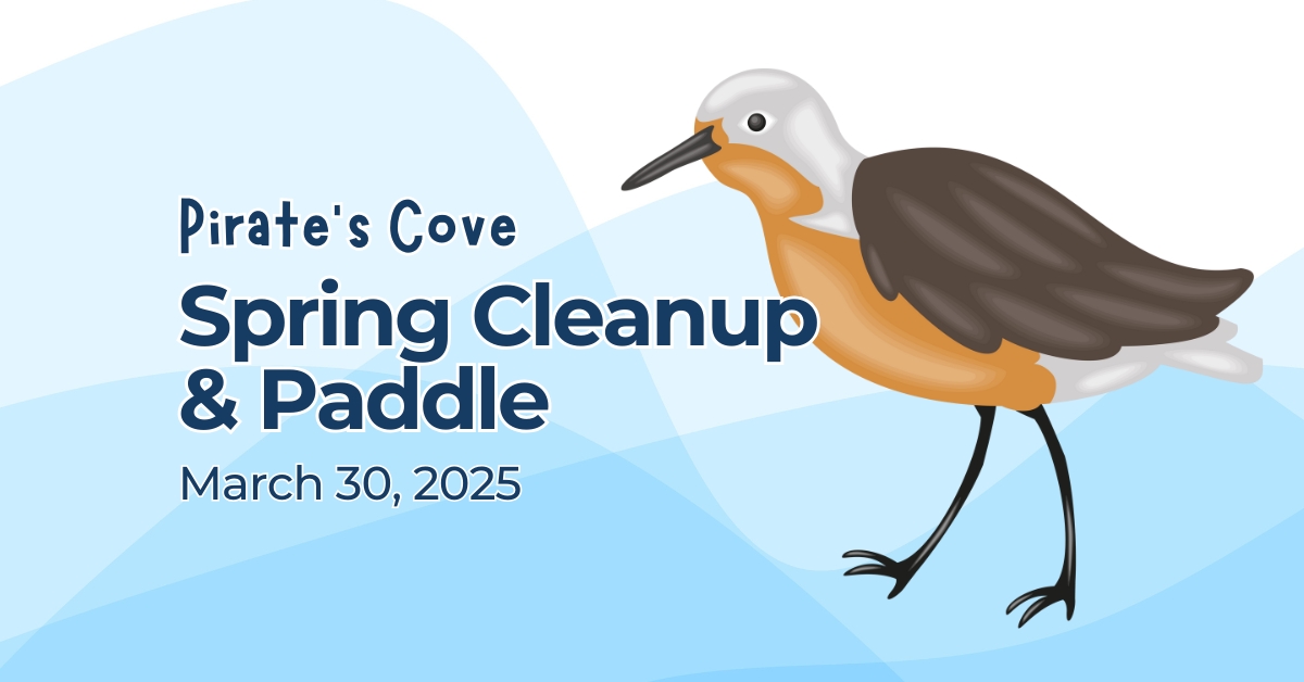 Pirate's Cove Beach Cleanup